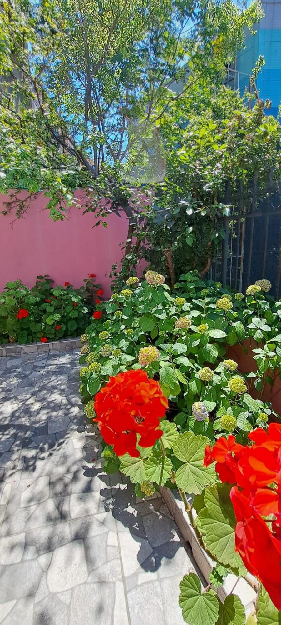 Golden Life Apart Hotel Κωνσταντινούπολη Δωμάτιο φωτογραφία